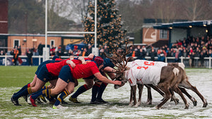 Rugby jumpers displayed with festive decorations and colours.