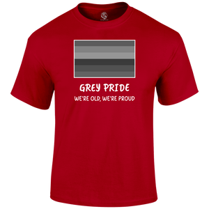 Grey Pride Funny T Shirt