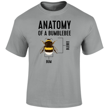 Anatomy Of A Bumblebee T Shirt