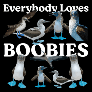 Boobies T Shirt