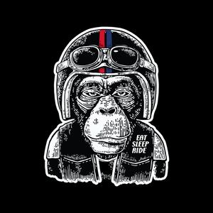 Chimp Rider T Shirt