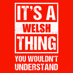 It's A Welsh Thing T Shirt