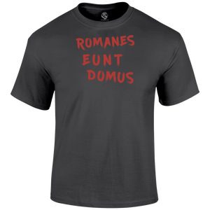 Romanes Eunt Domus Funny T Shirt