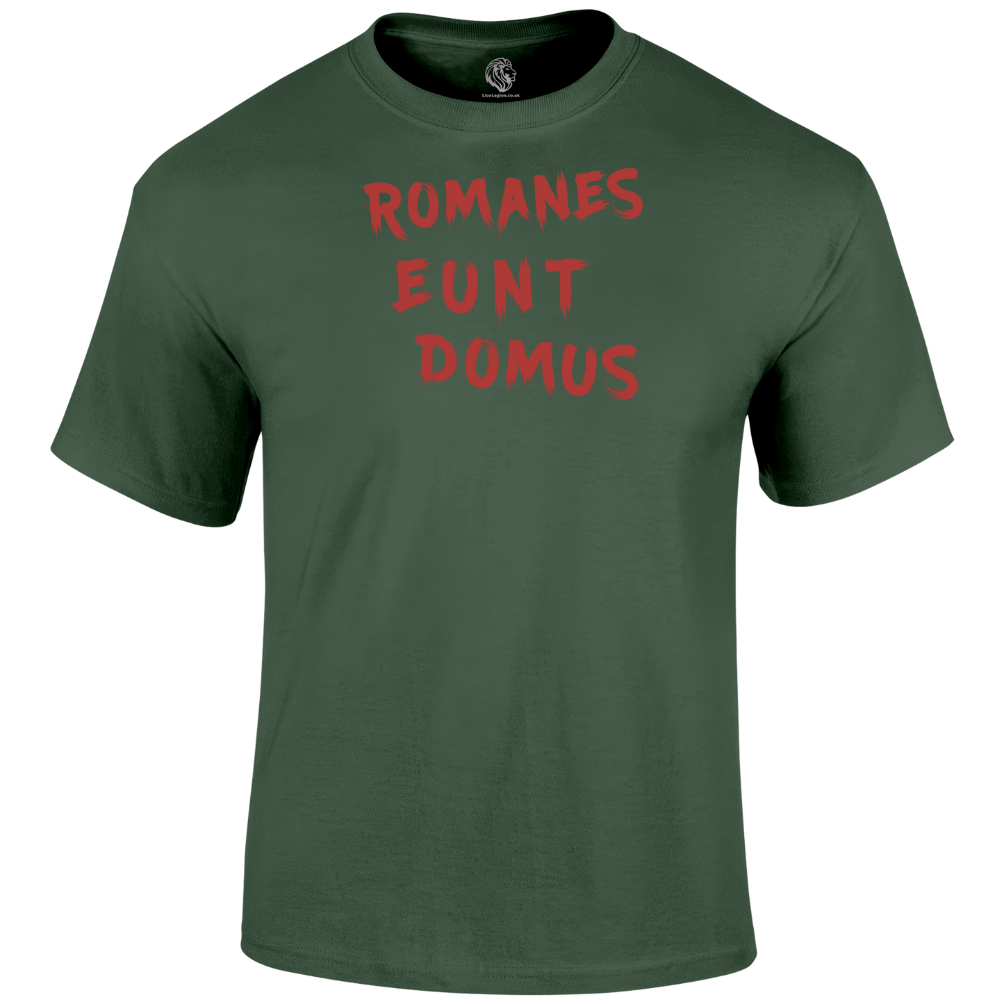 Romanes Eunt Domus T Shirt
