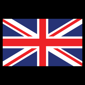 Union Jack T Shirt