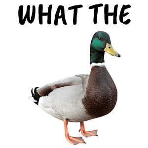 Funny Mug What The Duck Mug
