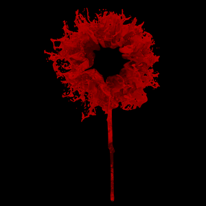 Wounds T Shirt