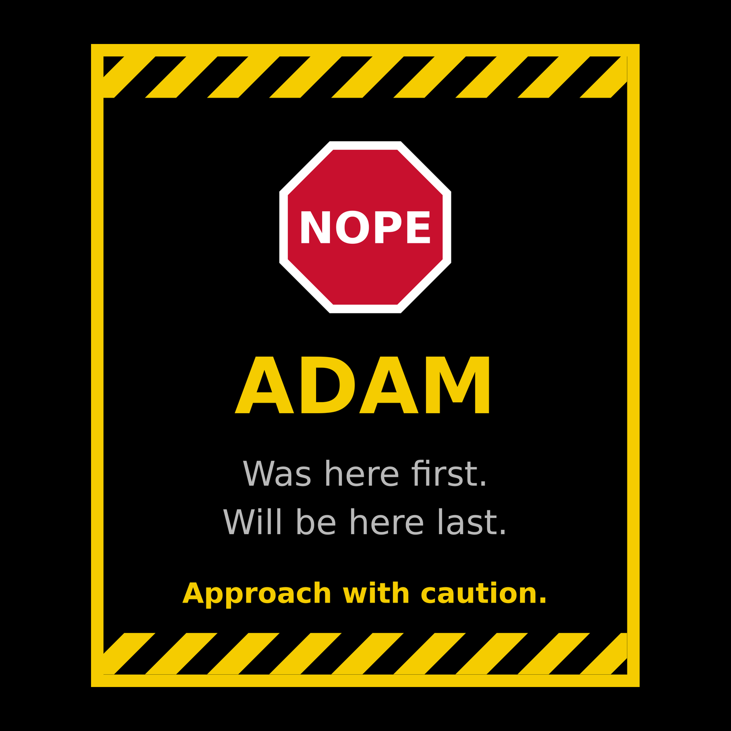 Funny Adam Gift T Shirt