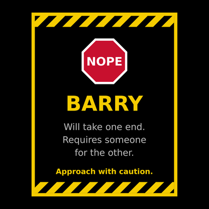 Funny Barry Gift T Shirt