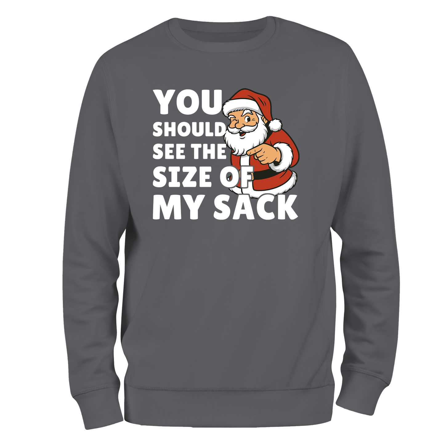 My Sack Christmas Jumper by Lion Legion 