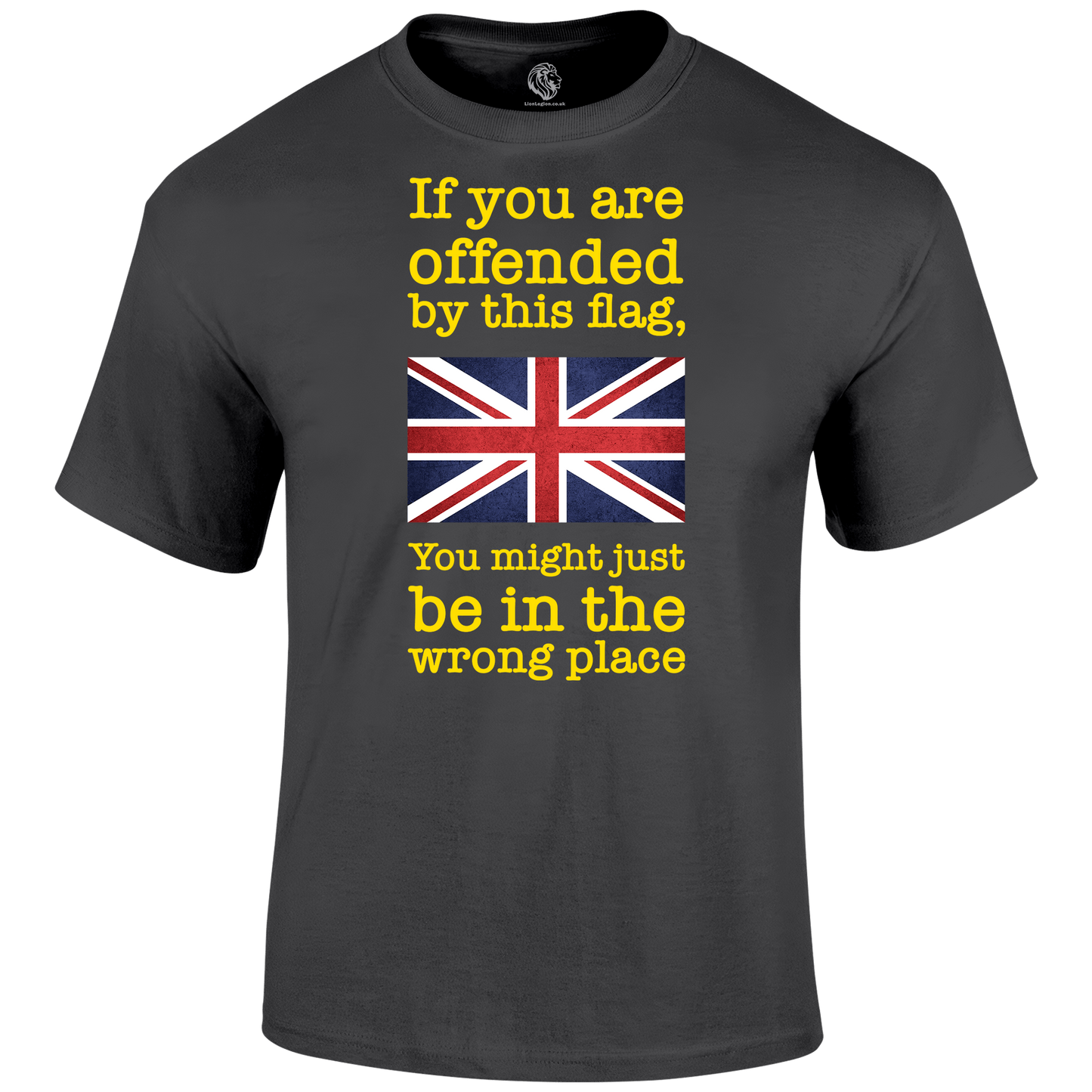 Wrong Place Patriotic T Shirt by Lion Legion 
