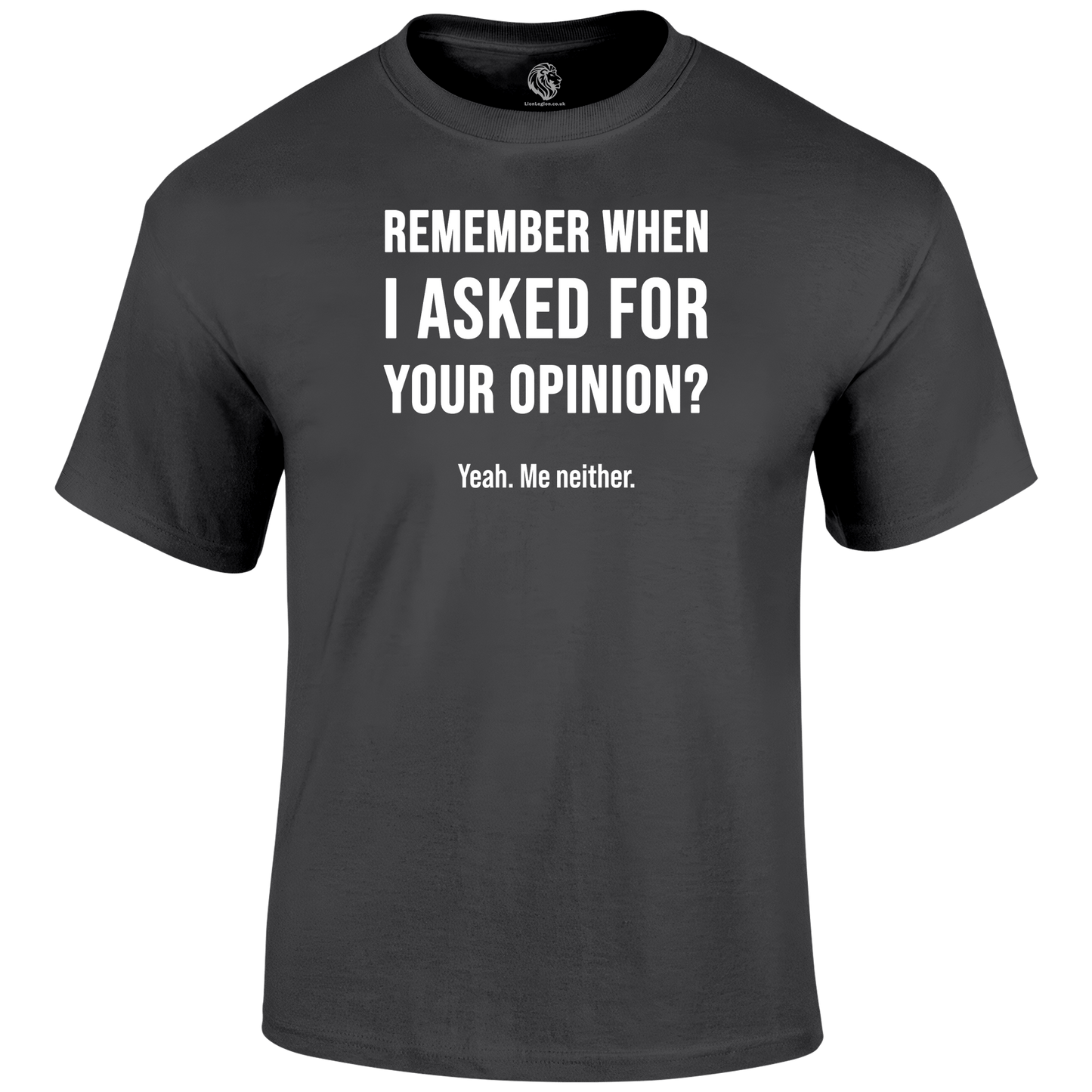 Remember When Funny T Shirt by Lion Legion 
