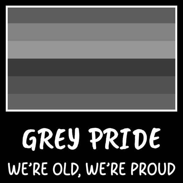 Grey Pride Funny T Shirt by Lion Legion 