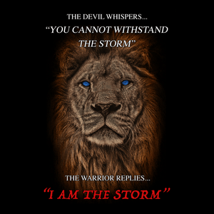 I Am The Storm T Shirt