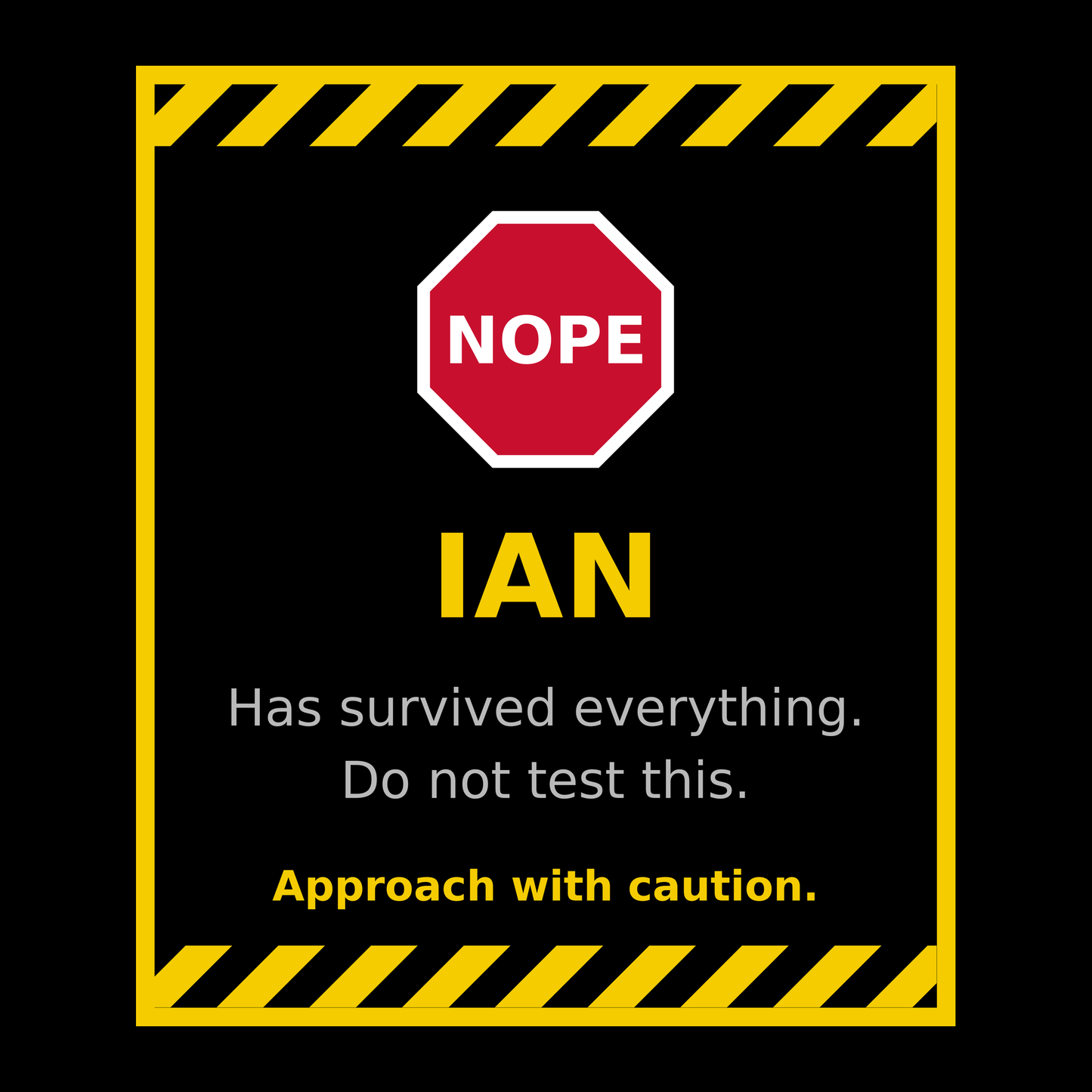 Funny Ian Gift T Shirt