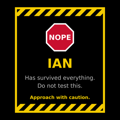 Funny Ian Gift T Shirt
