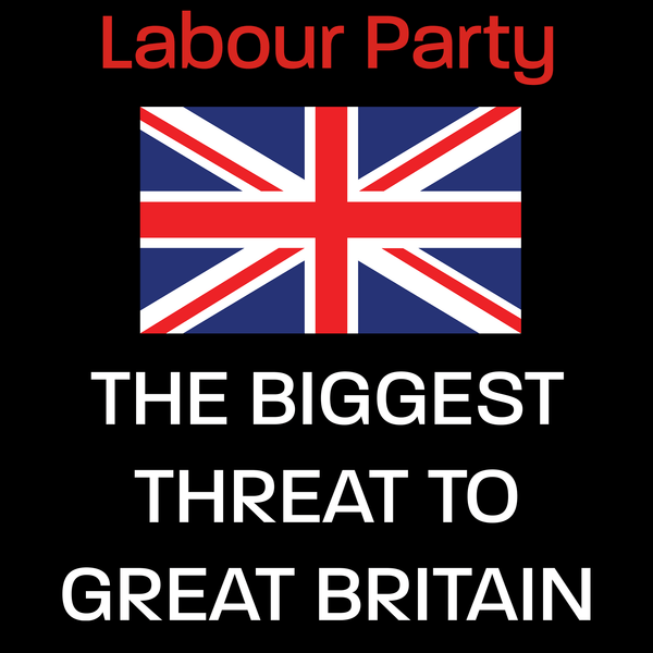 Labour Party T Shirt by Lion Legion 