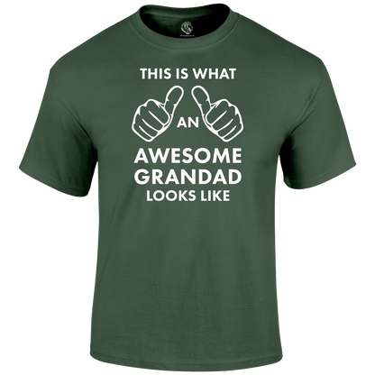 Awesome Grandad T Shirt by Lion Legion 