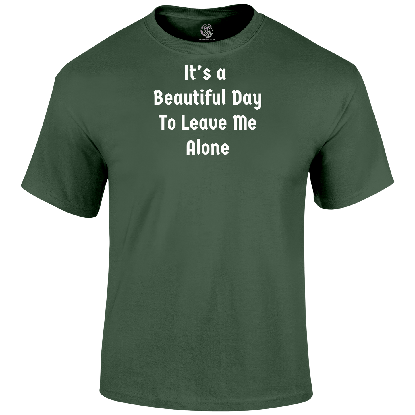 Beautiful Day T Shirt by Lion Legion 