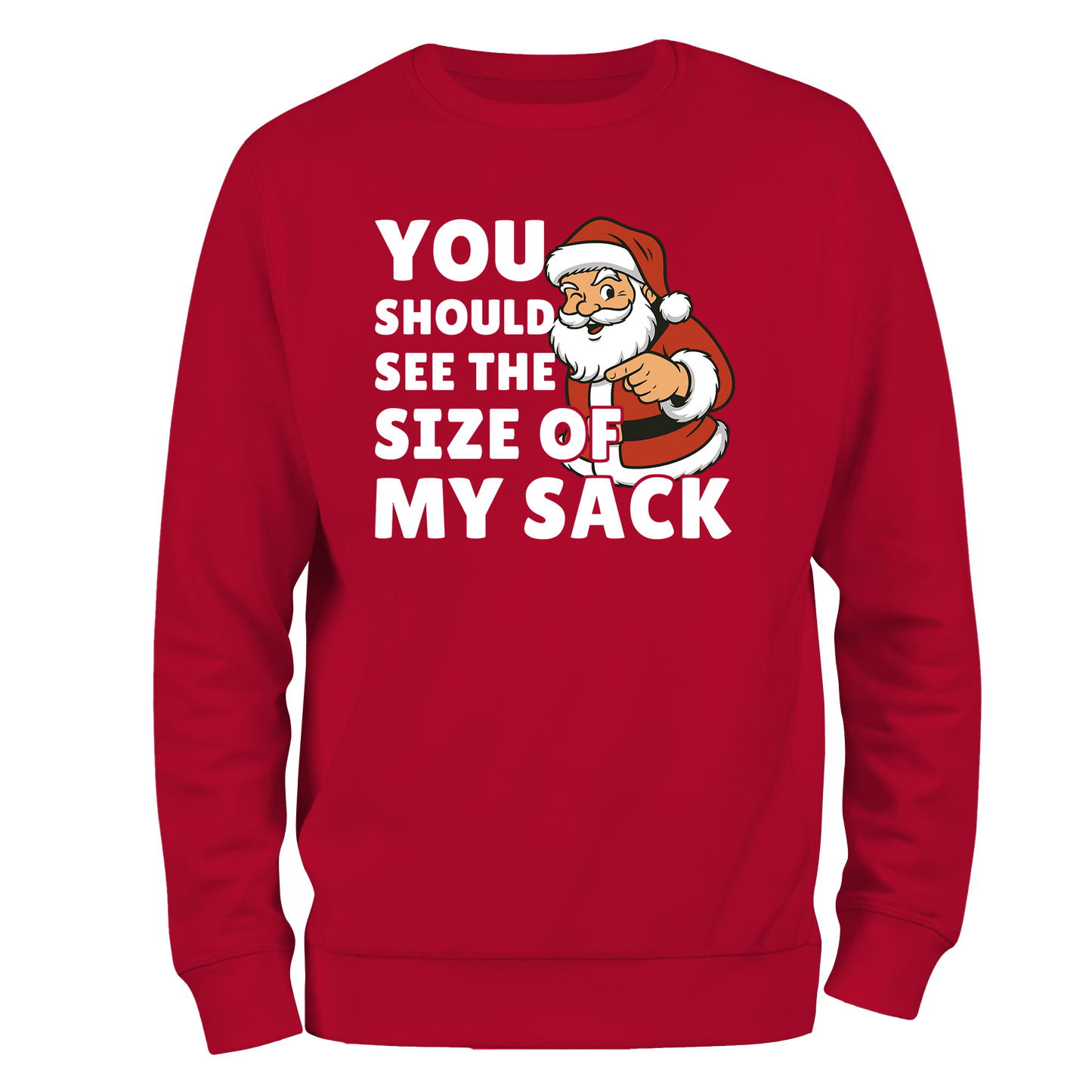My Sack Christmas Jumper by Lion Legion 