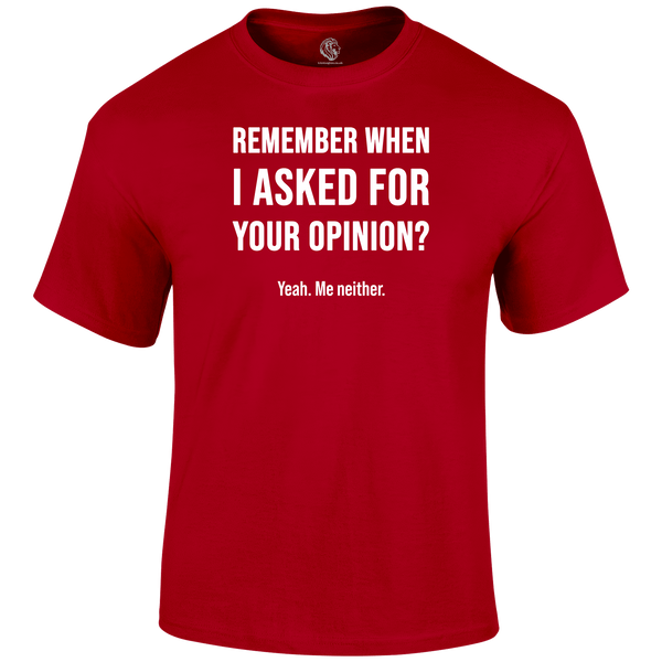 Remember When Funny T Shirt by Lion Legion 