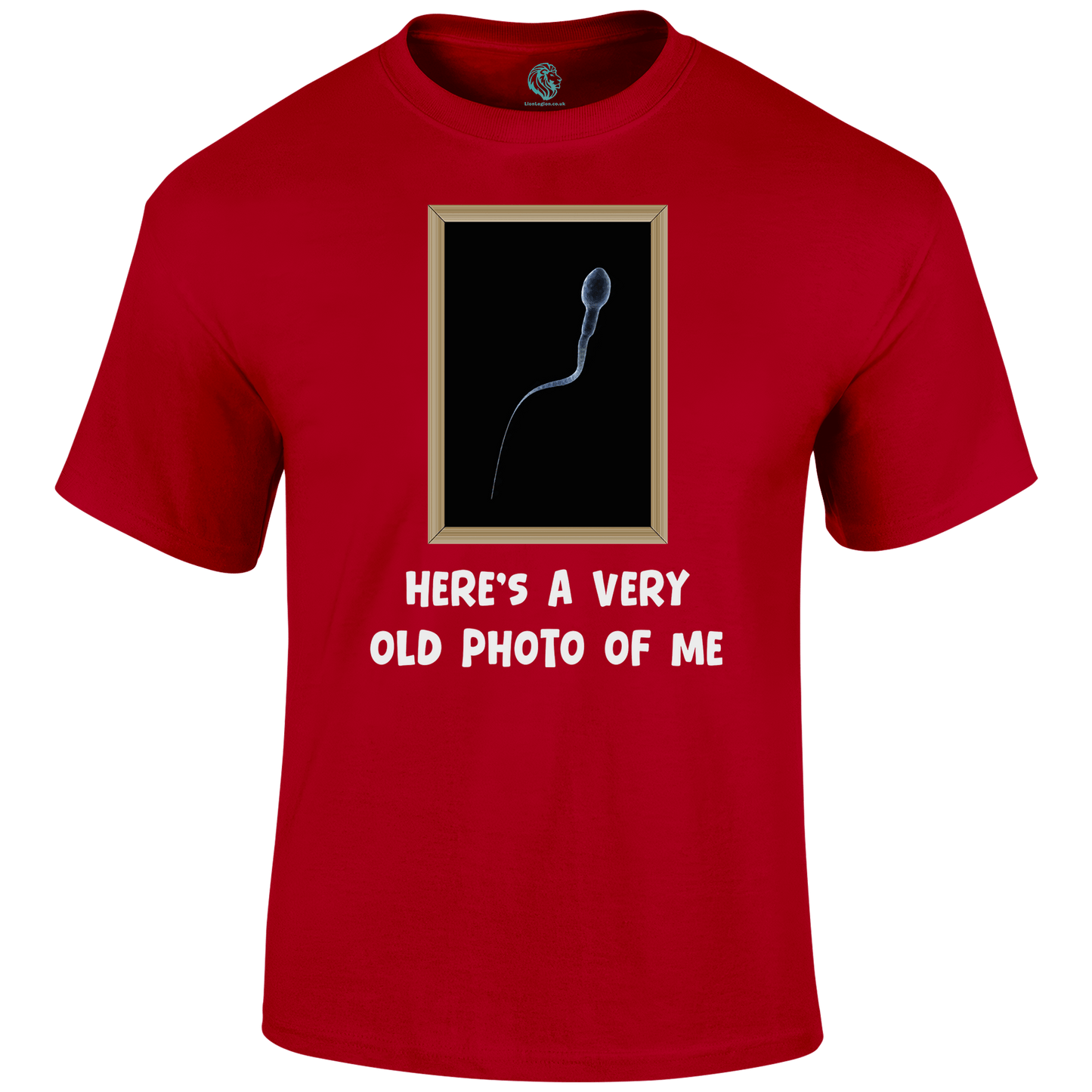Old Photo Funny T Shirt by Lion Legion 