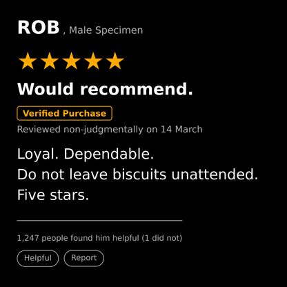 Rob T Shirt Gift