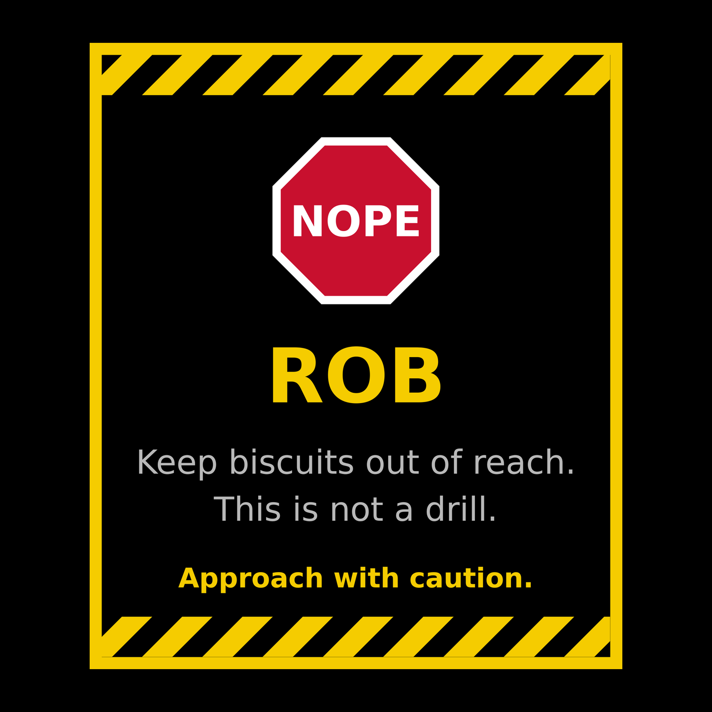 Funny Rob Gift T Shirt