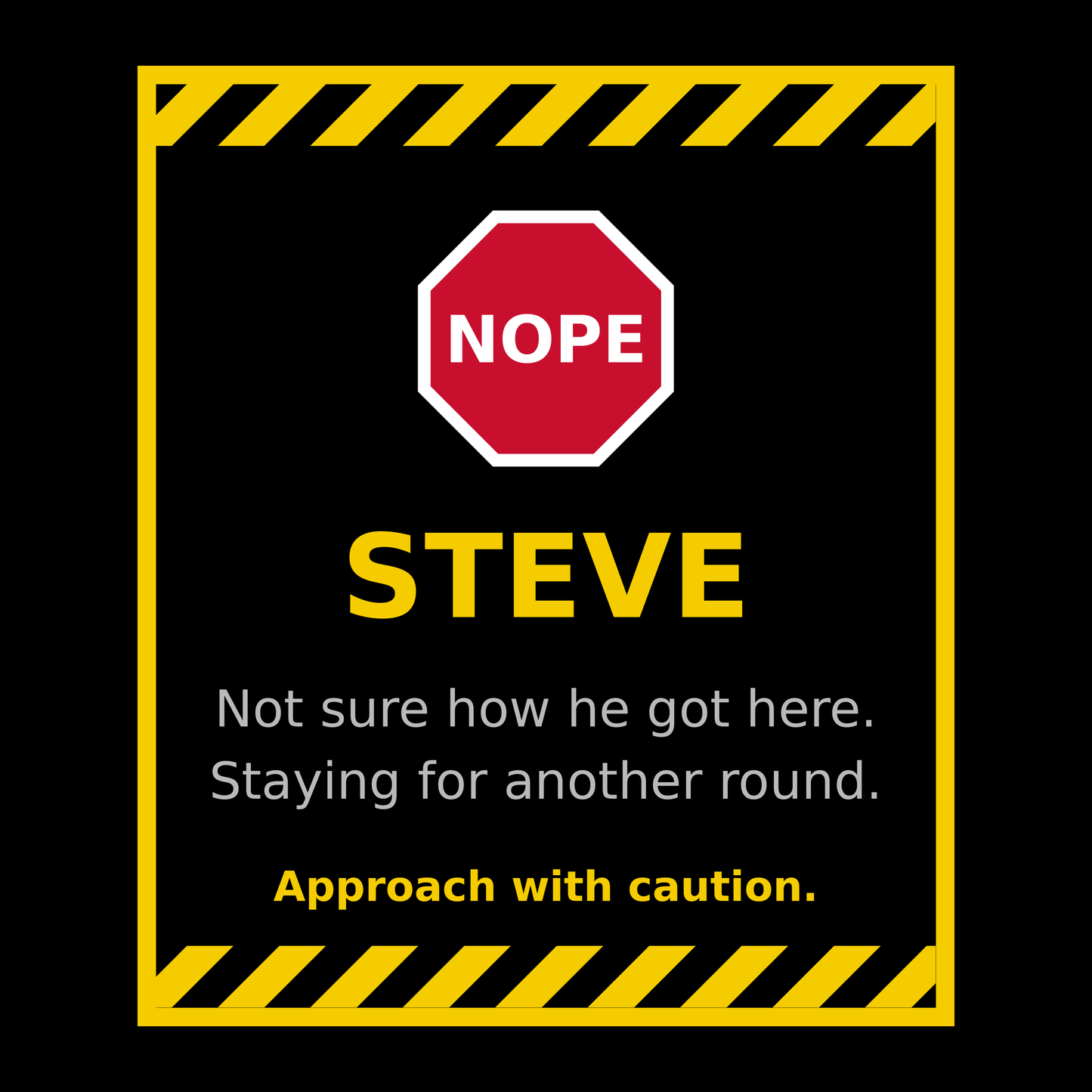 Funny Steve Gift T Shirt