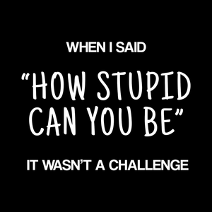 Stupid Challenge T Shirt