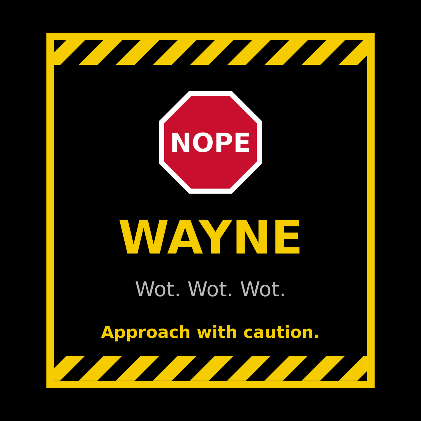 Funny Wayne Gift T Shirt