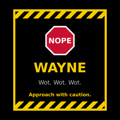 Funny Wayne Gift T Shirt