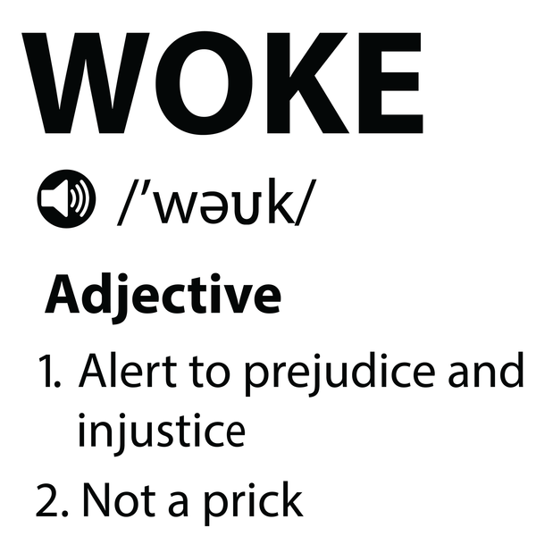 Woke Definition T Shirt by Lion Legion 