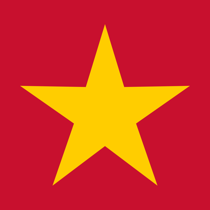 Yellow Star T Shirt by Lion Legion 