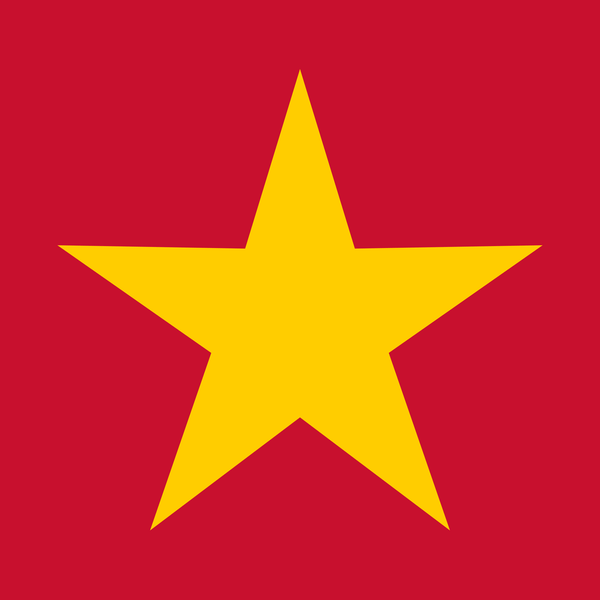 Yellow Star T Shirt by Lion Legion 