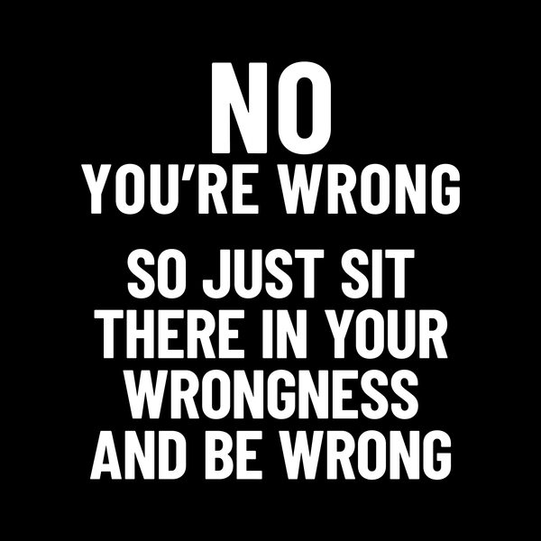 You're Wrong T Shirt by Lion Legion 