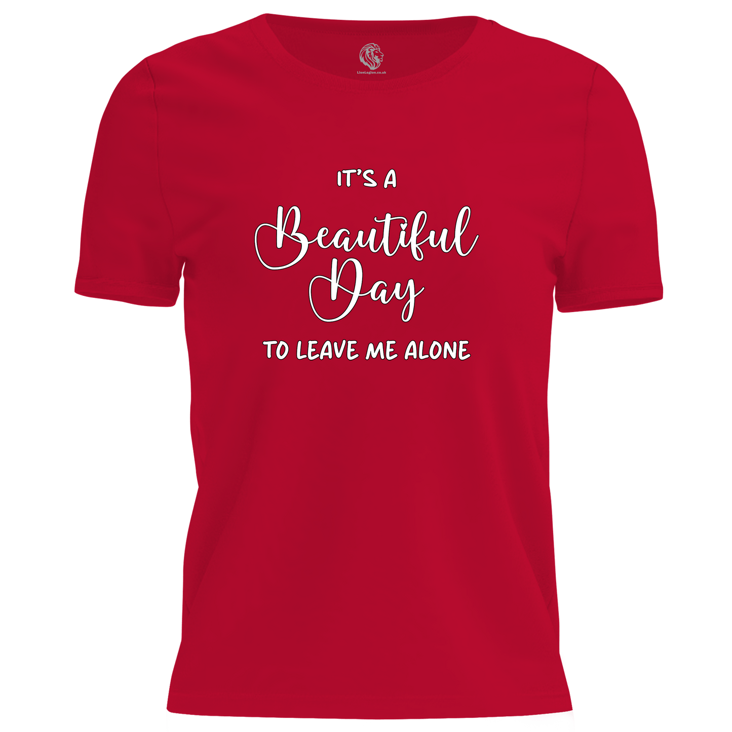 A Beautiful Day T Shirt