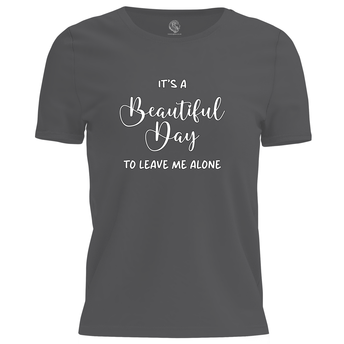 A Beautiful Day T Shirt
