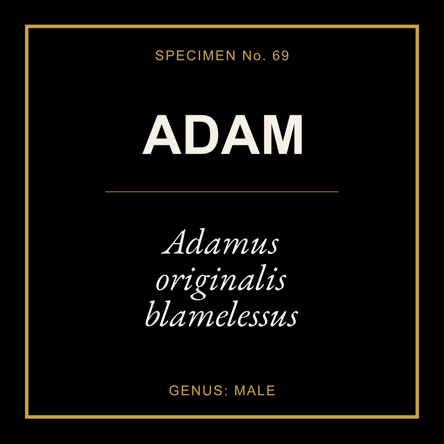 Adam Gift Idea T Shirt