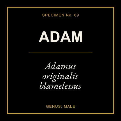Adam Gift Idea T Shirt