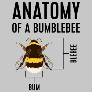 Anatomy Of A Bumblebee T Shirt