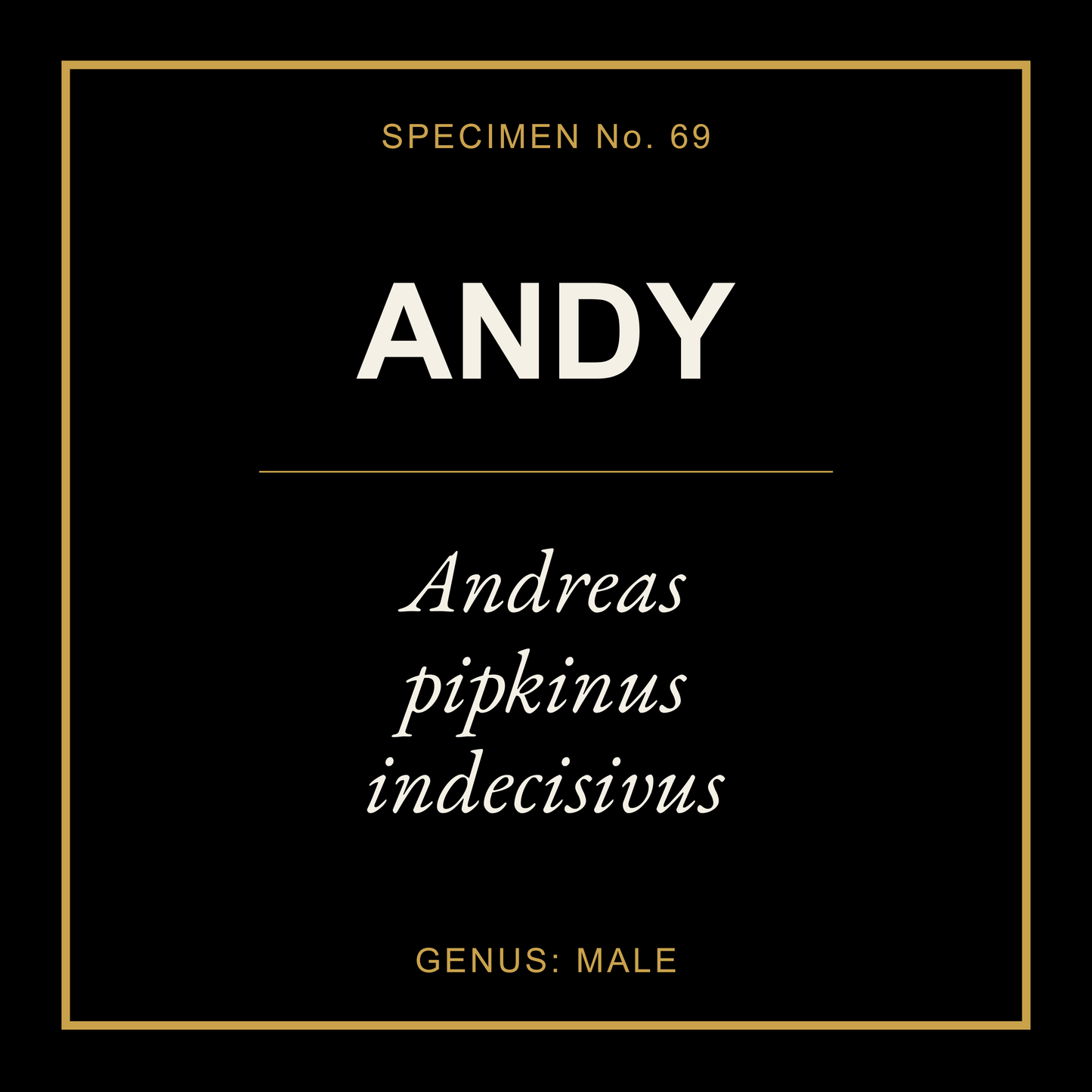 Andy Gift Idea T Shirt