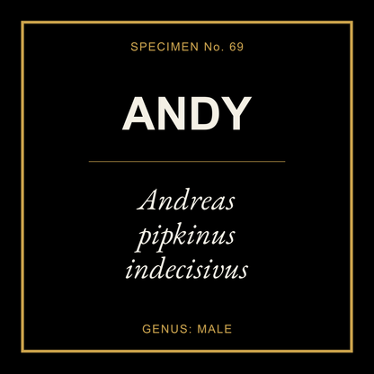Andy Gift Idea T Shirt