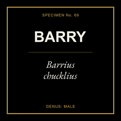Barry Gift Idea T Shirt