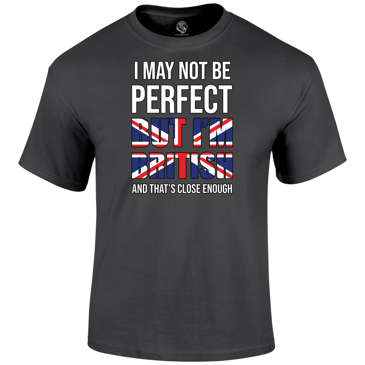 I May Not Be Perfect T Shirt