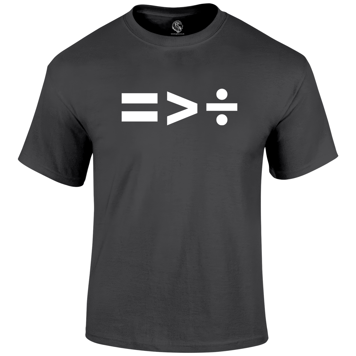 Not Divided Patriotic T Shirt by Lion Legion 