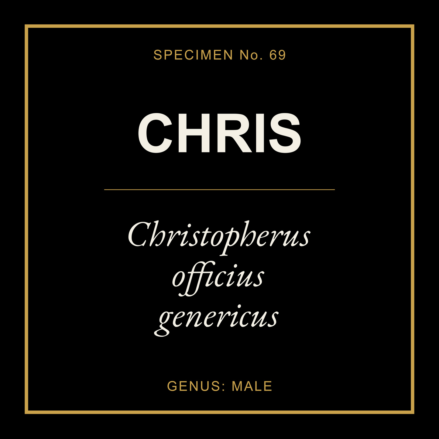 Chris Gift Idea T Shirt
