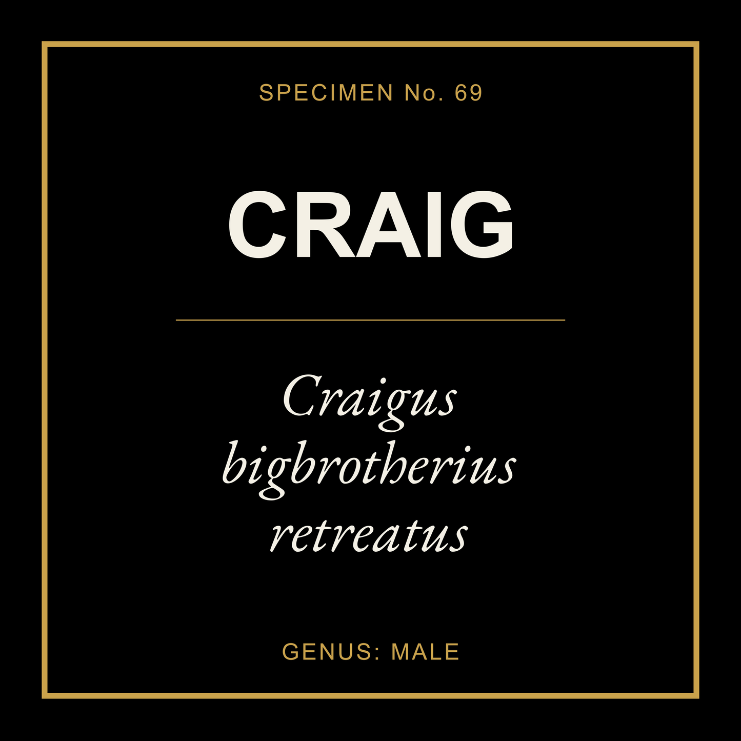 Craig Gift Idea T Shirt
