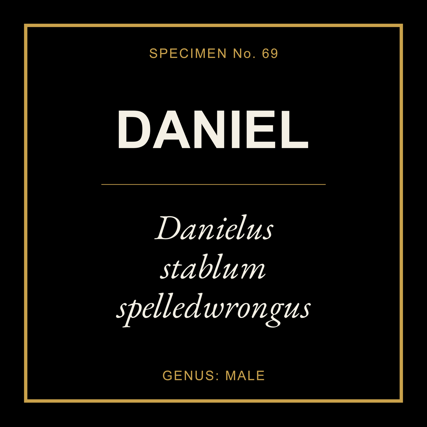 Daniel Gift Idea T Shirt