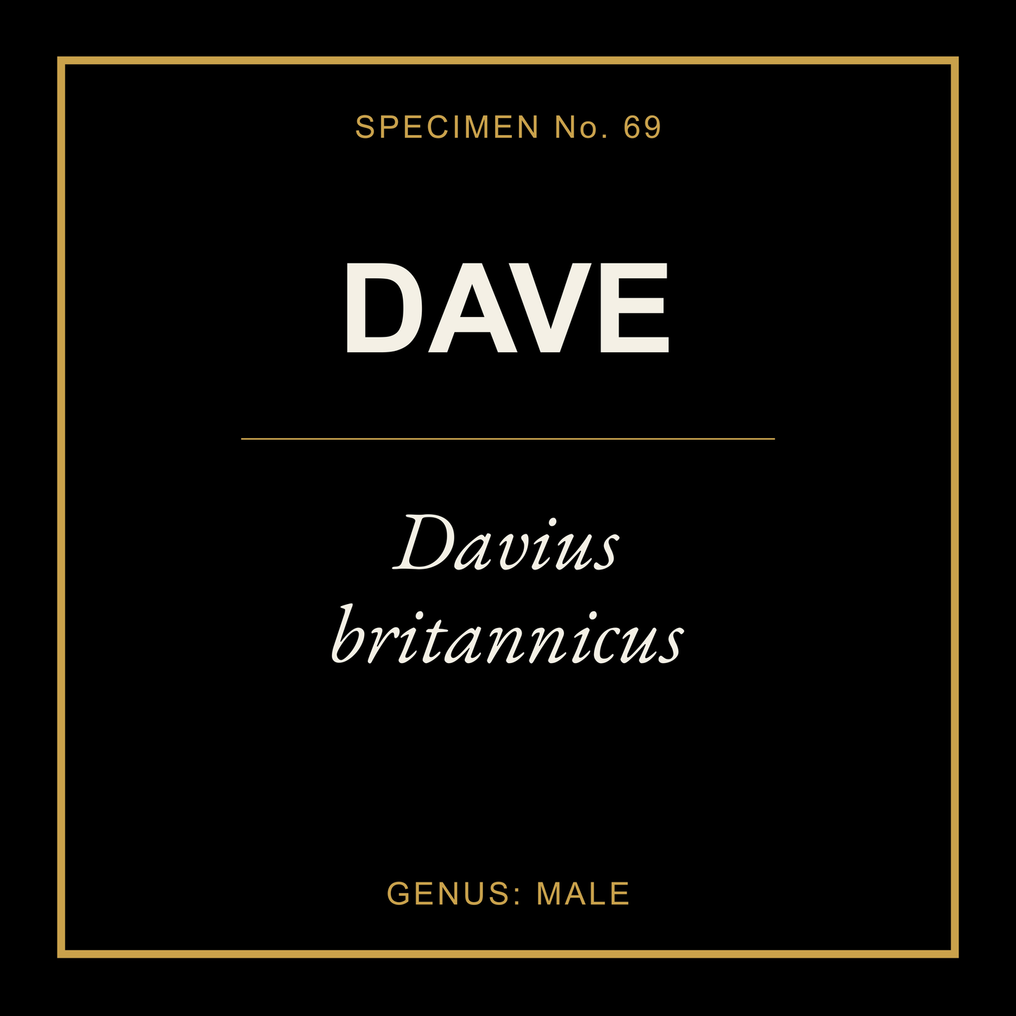 Dave Gift Idea T Shirt